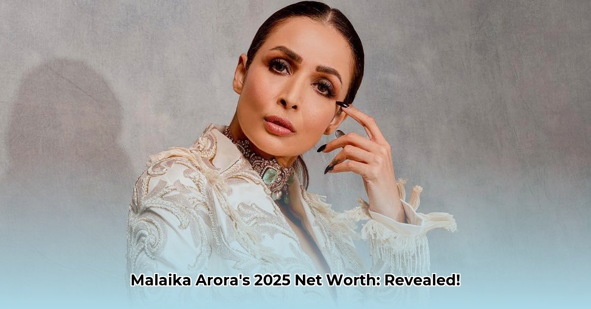malaika-arora-net-worth
